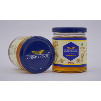 Vindhyanchal Forest Honey (30 g)