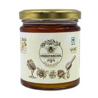 Vindhyanchal Honey (250 g)