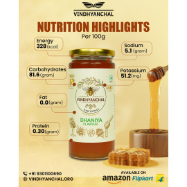 Vindhyanchal Honey (500 g)