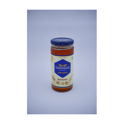 Vindhyanchal Honey (500 g)
